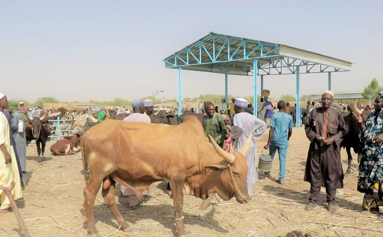 Forum de haut niveau sur le pastoralisme au Sahel et en Afrique de l’ouest